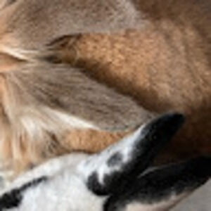 Meet your Posher, Téo